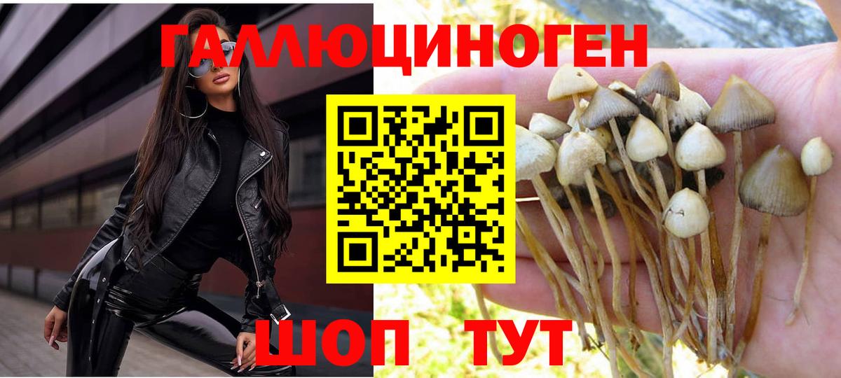 Псилоцибиновые грибы GOLDEN TEACHER Сибай